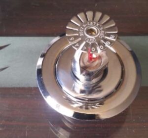 IMG-20210716-WA0124