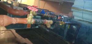 IMG-20210716-WA0354